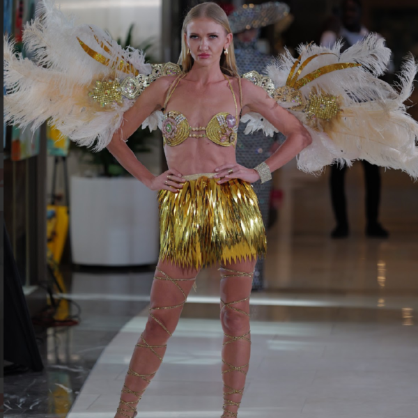 Golden Celestial Wings