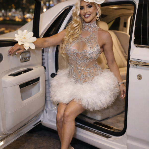 Diamond Swan Illusion Dress